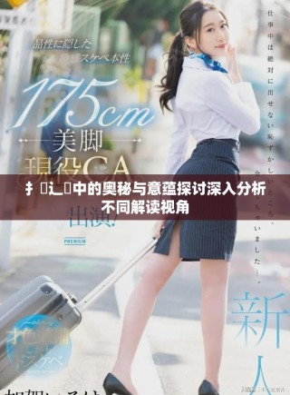 扌喿辶畐中的奧秘與意蘊(yùn)探討深入分析不同解讀視角