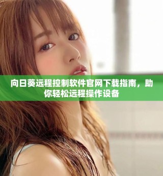 向日葵遠程控制軟件官網(wǎng)下載指南，助你輕松遠程操作設(shè)備