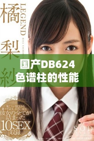 國產(chǎn)DB624色譜柱的性能特點與應(yīng)用領(lǐng)域探索