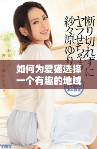 如何為愛貓選擇一個(gè)有趣的地域性網(wǎng)名技巧分享