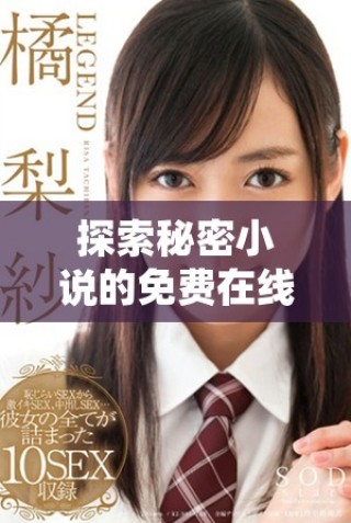 探索秘密小說的免費在線閱讀平臺與推薦章節(jié)