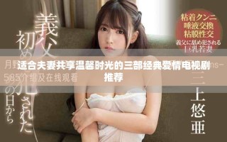 適合夫妻共享溫馨時光的三部經(jīng)典愛情電視劇推薦