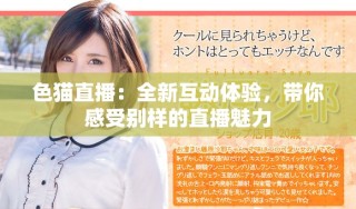 色貓直播：全新互動(dòng)體驗(yàn)，帶你感受別樣的直播魅力