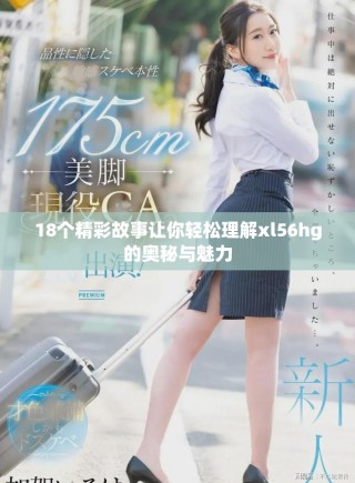 18個(gè)精彩故事讓你輕松理解xl56hg的奧秘與魅力