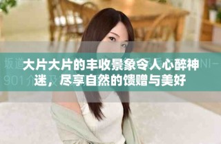 大片大片的豐收景象令人心醉神迷，盡享自然的饋贈(zèng)與美好