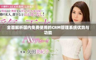 全面解析國內(nèi)免費使用的CRM管理系統(tǒng)優(yōu)勢與功能