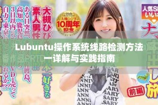 Lubuntu操作系統(tǒng)線路檢測方法一詳解與實踐指南