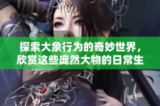 探索大象行為的奇妙世界，欣賞這些龐然大物的日常生活錄像