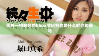 國外一檔知名的bbox節(jié)目名稱是什么呢你知道嗎