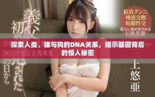 探索人類、豬與狗的DNA關(guān)系，揭示基因背后的驚人秘密
