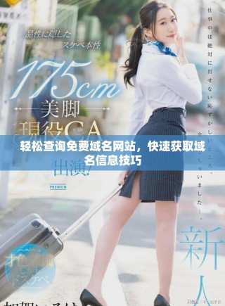 輕松查詢免費域名網站，快速獲取域名信息技巧