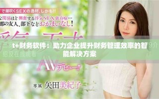 t+財務軟件：助力企業(yè)提升財務管理效率的智能解決方案