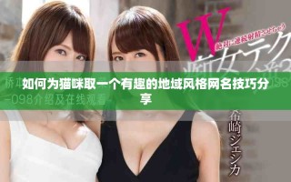 如何為貓咪取一個有趣的地域風(fēng)格網(wǎng)名技巧分享