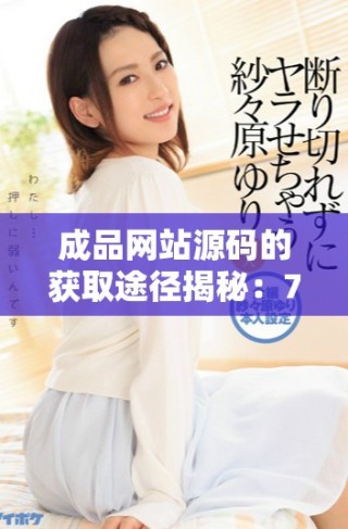 成品網(wǎng)站源碼的獲取途徑揭秘：78w78的來源分析與探討