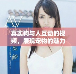 真實狗與人互動的視頻，展現(xiàn)寵物的魅力和溫暖