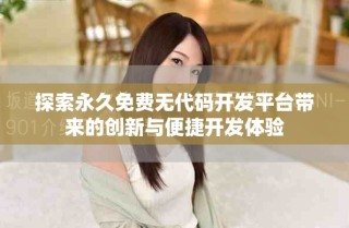 探索永久免費(fèi)無代碼開發(fā)平臺(tái)帶來的創(chuàng)新與便捷開發(fā)體驗(yàn)