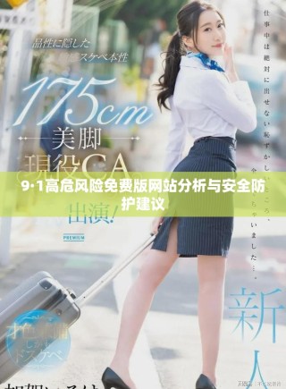 9·1高危風(fēng)險免費版網(wǎng)站分析與安全防護建議