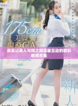 真實(shí)記錄人與狗之間溫馨互動(dòng)的精彩視頻合集
