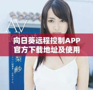 向日葵遠(yuǎn)程控制APP官方下載地址及使用指南分享