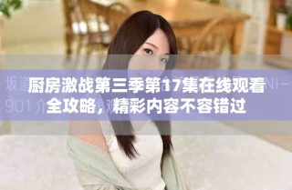 廚房激戰(zhàn)第三季第17集在線觀看全攻略，精彩內(nèi)容不容錯(cuò)過(guò)