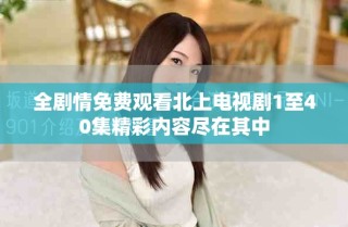 全劇情免費觀看北上電視劇1至40集精彩內(nèi)容盡在其中
