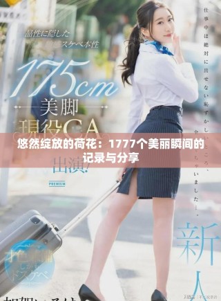 悠然綻放的荷花：1777個(gè)美麗瞬間的記錄與分享