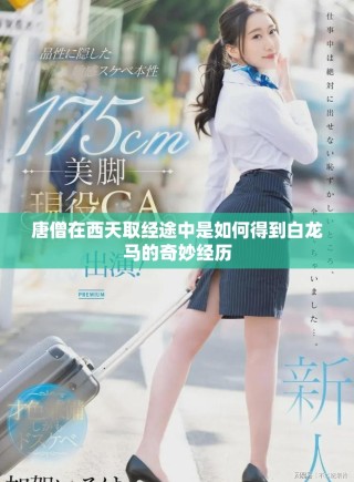 唐僧在西天取經(jīng)途中是如何得到白龍馬的奇妙經(jīng)歷