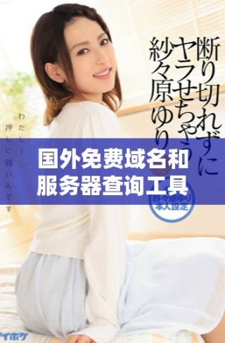 國外免費域名和服務(wù)器查詢工具推薦及使用指南