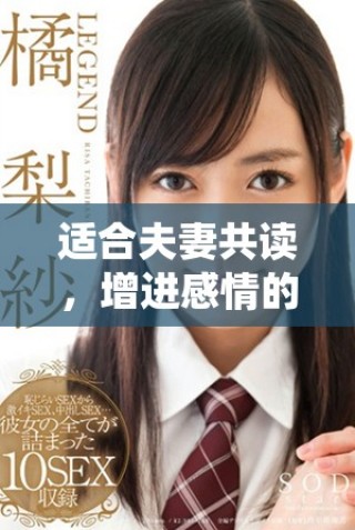 適合夫妻共讀，增進(jìn)感情的小說推薦與分享
