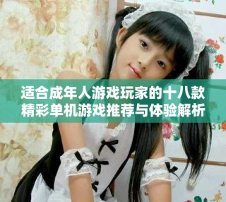 適合成年人游戲玩家的十八款精彩單機(jī)游戲推薦與體驗(yàn)解析