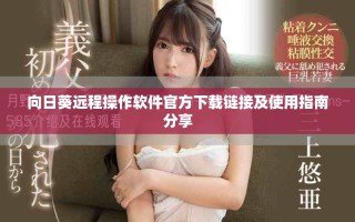 向日葵遠(yuǎn)程操作軟件官方下載鏈接及使用指南分享