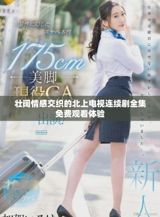 壯闊情感交織的北上電視連續(xù)劇全集免費(fèi)觀看體驗(yàn)