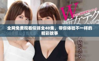 全網(wǎng)免費(fèi)觀看似錦全40集，帶你體驗(yàn)不一樣的精彩故事
