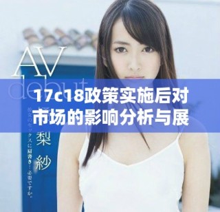 17c18政策實施后對市場的影響分析與展望