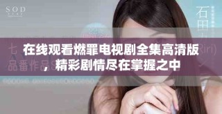 在線觀看燃罪電視劇全集高清版，精彩劇情盡在掌握之中
