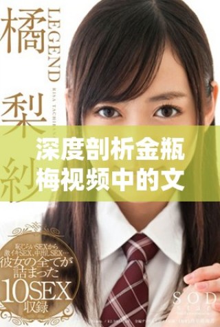 深度剖析金瓶梅視頻中的文化內(nèi)涵與藝術(shù)表現(xiàn)形式