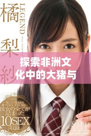 探索非洲文化中的大豬與女性角色的獨(dú)特聯(lián)系