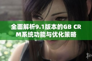 全面解析9.1版本的GB CRM系統(tǒng)功能與優(yōu)化策略
