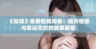 《似錦》免費在線觀看：揭開情感與命運交織的故事篇章