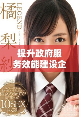 提升政府服務(wù)效能建設(shè)企業(yè)與公眾信任的高效平臺(tái)