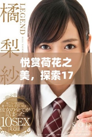 悅賞荷花之美，探索1777年影視文化的魅力與回顧