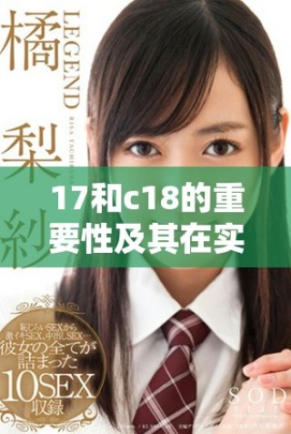 17和c18的重要性及其在實(shí)際應(yīng)用中的探討