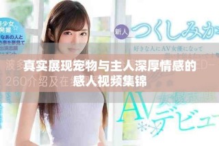 真實(shí)展現(xiàn)寵物與主人深厚情感的感人視頻集錦
