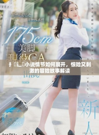 扌喿辶畐小說(shuō)情節(jié)如何展開，驚險(xiǎn)又刺激的冒險(xiǎn)故事解讀