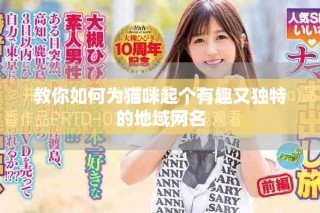 教你如何為貓咪起個(gè)有趣又獨(dú)特的地域網(wǎng)名