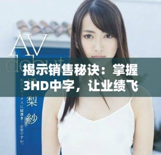 揭示銷售秘訣：掌握3HD中字，讓業(yè)績(jī)飛升的秘密技巧與策略