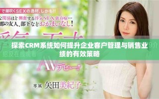 探索CRM系統(tǒng)如何提升企業(yè)客戶(hù)管理與銷(xiāo)售業(yè)績(jī)的有效策略