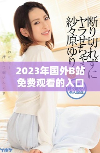 2023年國外B站免費(fèi)觀看的入口與使用技巧解析