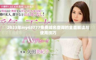 2023年my63777免費域名查詢的全面解讀與使用技巧