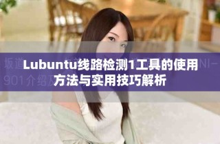 Lubuntu線路檢測(cè)1工具的使用方法與實(shí)用技巧解析
